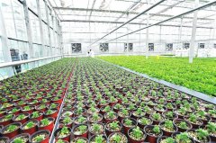 植物花卉冷藏保鲜库报价